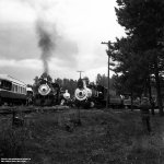 Mixed Gauge Meet